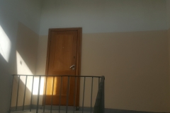 Standartinės Laiptinės – nuotrauka 23