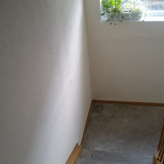 https://www.magnesta.lt/wp-content/uploads/2018/04/laiptine-6-3-540x540.jpg